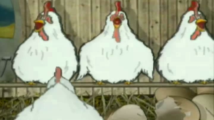 Check Out The Chicken